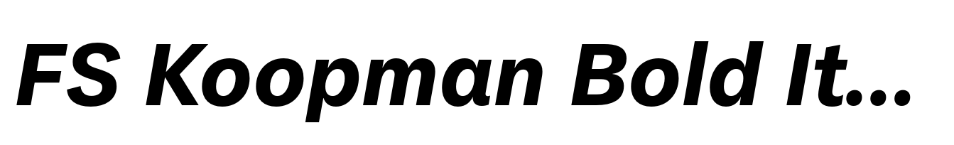 FS Koopman Bold Italic